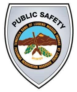 PublicSafety300x251