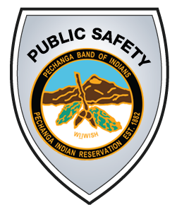 PublicSafety300x251